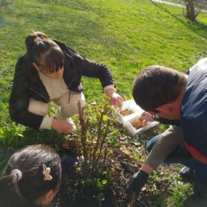 Aktivnosti i radionice usvajanja praktičnih vještina za samostalno življenje12