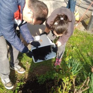 Aktivnosti i radionice usvajanja praktičnih vještina za samostalno življenje5