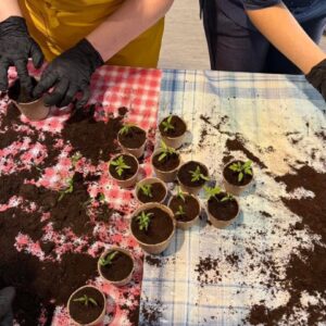 Radionica presađivanja 4