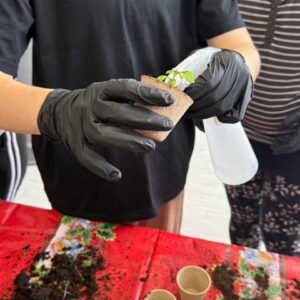 Radionica presađivanja 5