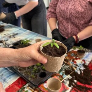 Radionica presađivanja 6