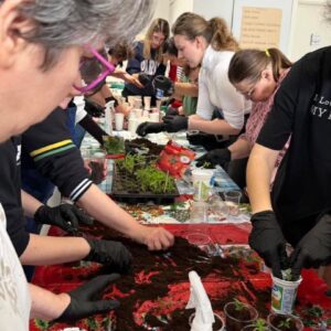 Radionica presađivanja 7