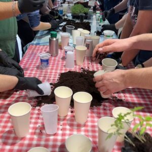 Radionica presađivanja biljaka 3