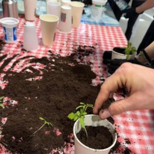 Radionica presađivanja biljaka1